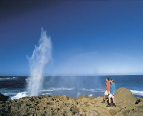The Blowholes Carnarvon - Northern Rivers Accommodation 0