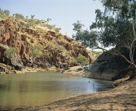 Caroline Pool - Northern Rivers Accommodation 0