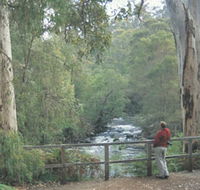 Cascades - Northern Rivers Accommodation