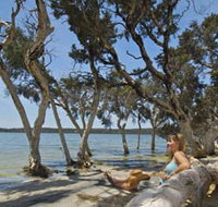 Stokes National Park - Northern Rivers Accommodation
