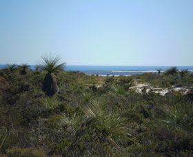 Lesueur National Park - Northern Rivers Accommodation 0