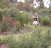 The Mythic Mazes - Northern Rivers Accommodation