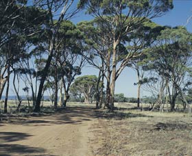 Dumbleyung WA Northern Rivers Accommodation
