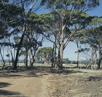 Lake Dumbleyung - Northern Rivers Accommodation
