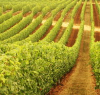 MadFish Wines Margaret River - Northern Rivers Accommodation