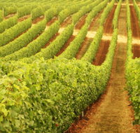 Cullen Wines - Northern Rivers Accommodation