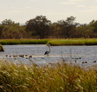 Anytime Adventures in Mandurah  the Peel Region - Northern Rivers Accommodation