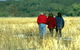 Onkaparinga River Recreation Park - thumb 0