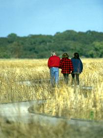 Onkaparinga River Recreation Park - Northern Rivers Accommodation 0