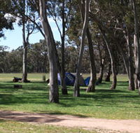 Black Cockatoo Bush Camp - Northern Rivers Accommodation