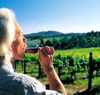 Ashton Hills Vineyard - Northern Rivers Accommodation
