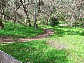 Yurrebilla Trail - Northern Rivers Accommodation 0