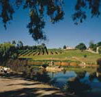 Mount Hurtle Winery home of Geoff Merrill Wines - Northern Rivers Accommodation