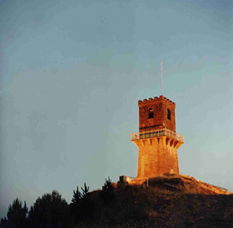 Centenary Tower - Northern Rivers Accommodation 0
