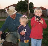 Orrie Cowie Merino and Poll Merino Stud - Northern Rivers Accommodation