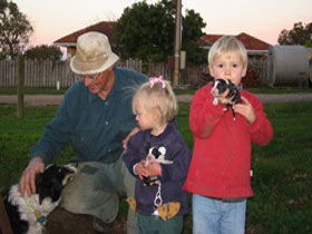 Orrie Cowie Merino And Poll Merino Stud - Northern Rivers Accommodation 0