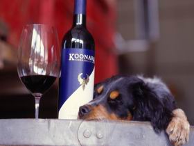 Koonara Wines - Northern Rivers Accommodation 0