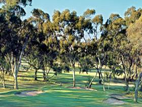 Tanunda Pines Golf Club - Northern Rivers Accommodation 0
