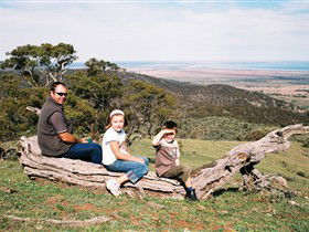 Bridle Track - Northern Rivers Accommodation 0