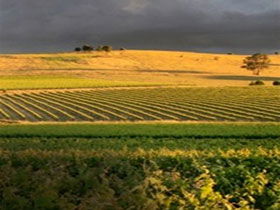 Kellermeister Wines - Northern Rivers Accommodation 0