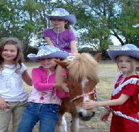 Amberainbow Pony Rides - Northern Rivers Accommodation