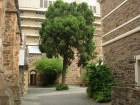 Flinders Street Baptist Church - Northern Rivers Accommodation 0