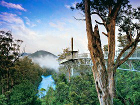  Northern Rivers Accommodation