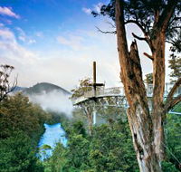 Tahune Adventures Tasmania - Northern Rivers Accommodation