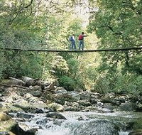 Arve Forest Drive - Northern Rivers Accommodation