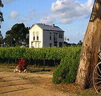 Highbank Vineyards - Northern Rivers Accommodation