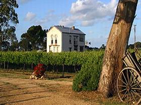 Highbank Vineyards - Northern Rivers Accommodation 0