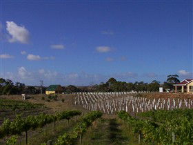 Deep Creek Wines And Alpacas - Northern Rivers Accommodation 0