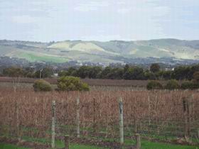 Mclaren Vale Premium Wines - Northern Rivers Accommodation 0