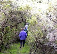 Jack And Hilda McArthur Walk - Northern Rivers Accommodation