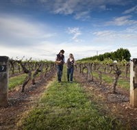 Coonawarra Wineries Walking Trail - Northern Rivers Accommodation
