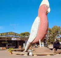 The Big Galah - Northern Rivers Accommodation