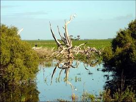  Northern Rivers Accommodation