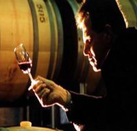 Salena Estate Wines - Northern Rivers Accommodation