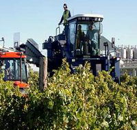 Ballast Stone Estate Wines Pty Ltd - Northern Rivers Accommodation