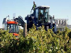 Ballast Stone Estate Wines Pty Ltd - Northern Rivers Accommodation 0