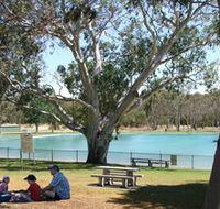 Naracoorte Nature Park and Swimming Lake - Northern Rivers Accommodation