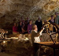 Naracoorte Caves National Park - Northern Rivers Accommodation