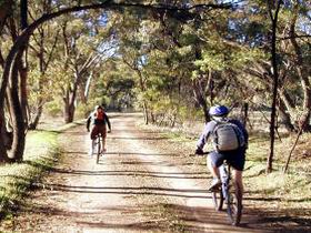 Natural Attractions Marion SA Northern Rivers Accommodation