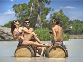 Caudo Vineyard Cellar Door - Northern Rivers Accommodation 0