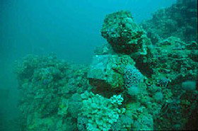 Adelaide's Underwater Heritage Trail - Northern Rivers Accommodation 0