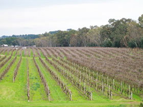 Dennis Wines - Northern Rivers Accommodation 0