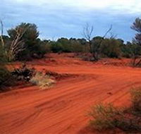 Tallaringa Conservation Park - Northern Rivers Accommodation