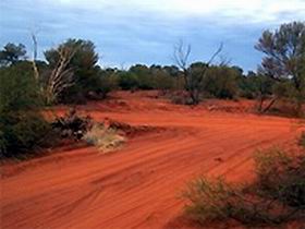 Tallaringa Conservation Park - Northern Rivers Accommodation 0
