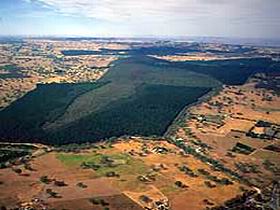 Mount Crawford Forest Reserve - Northern Rivers Accommodation 0