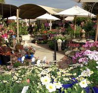 Serenity Nursery - Northern Rivers Accommodation
